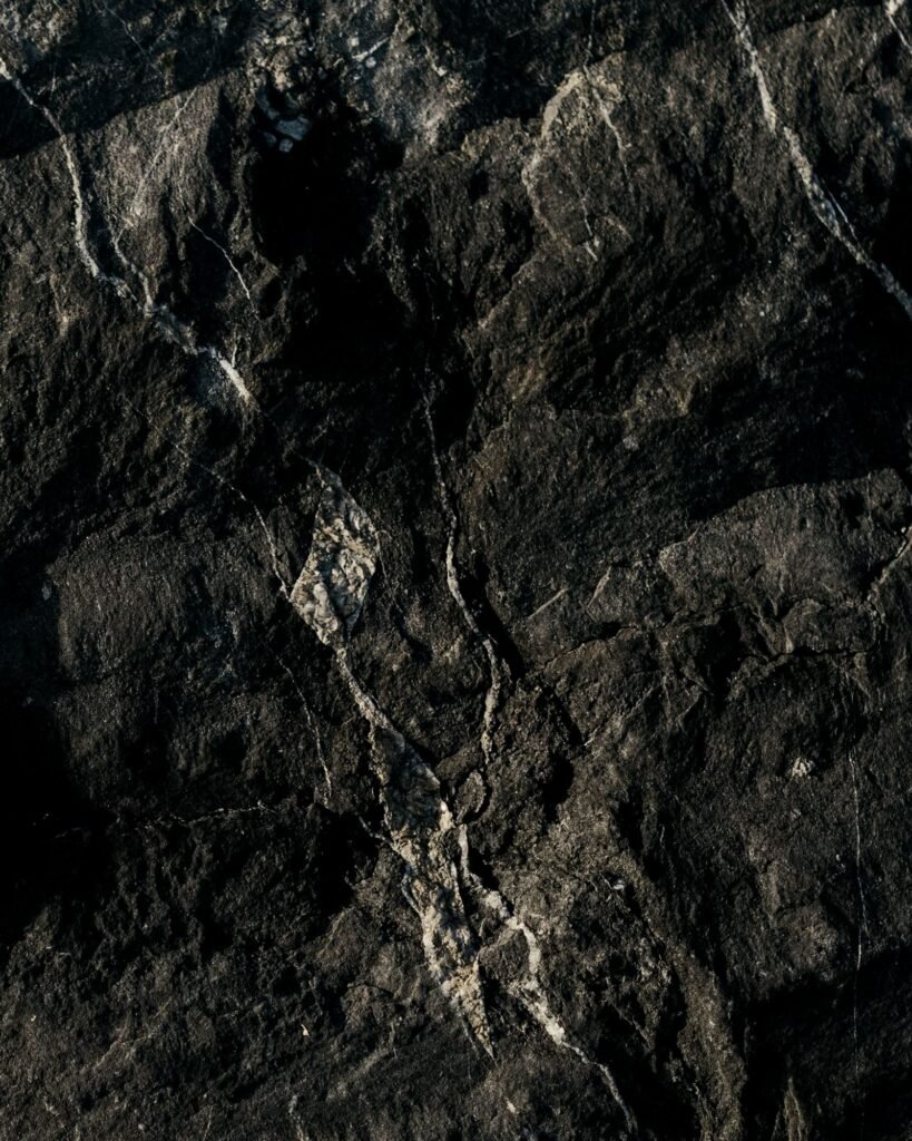 Black Granite Paver Tile