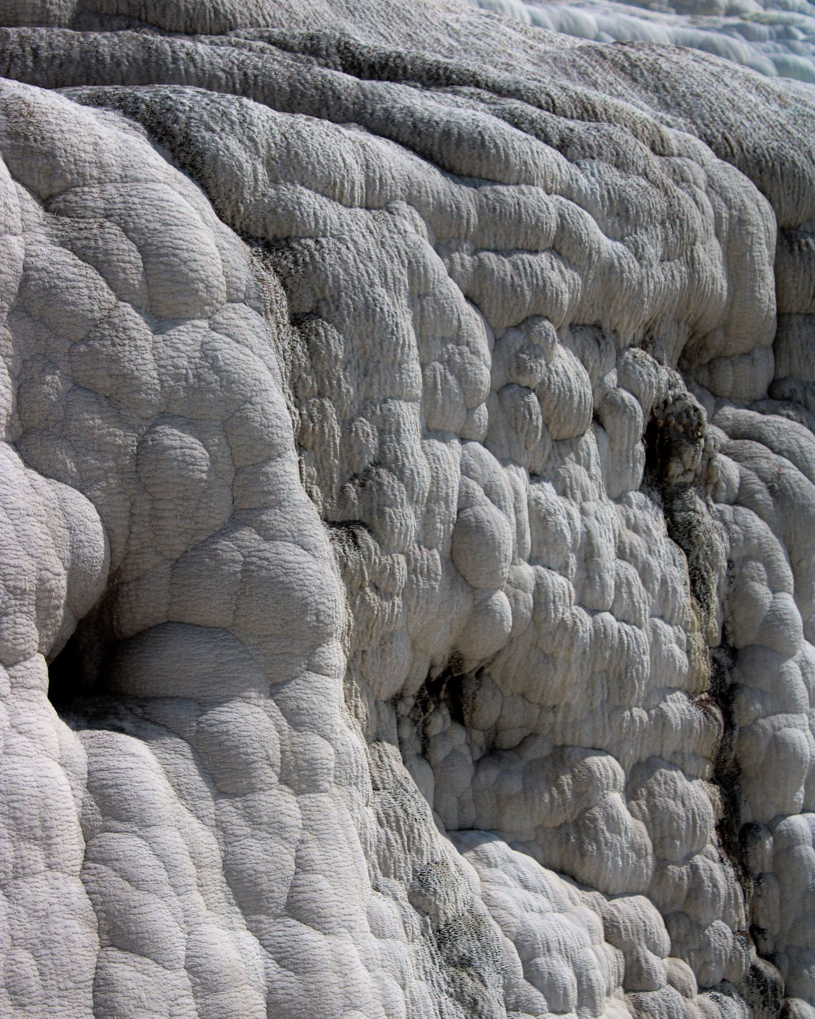 Ivory Travertine