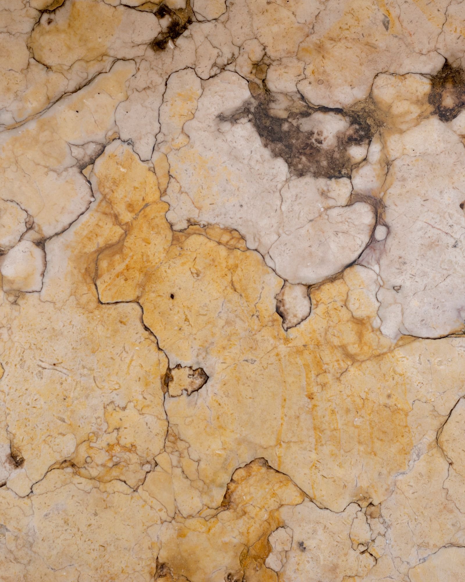 Kota Blue Limestone