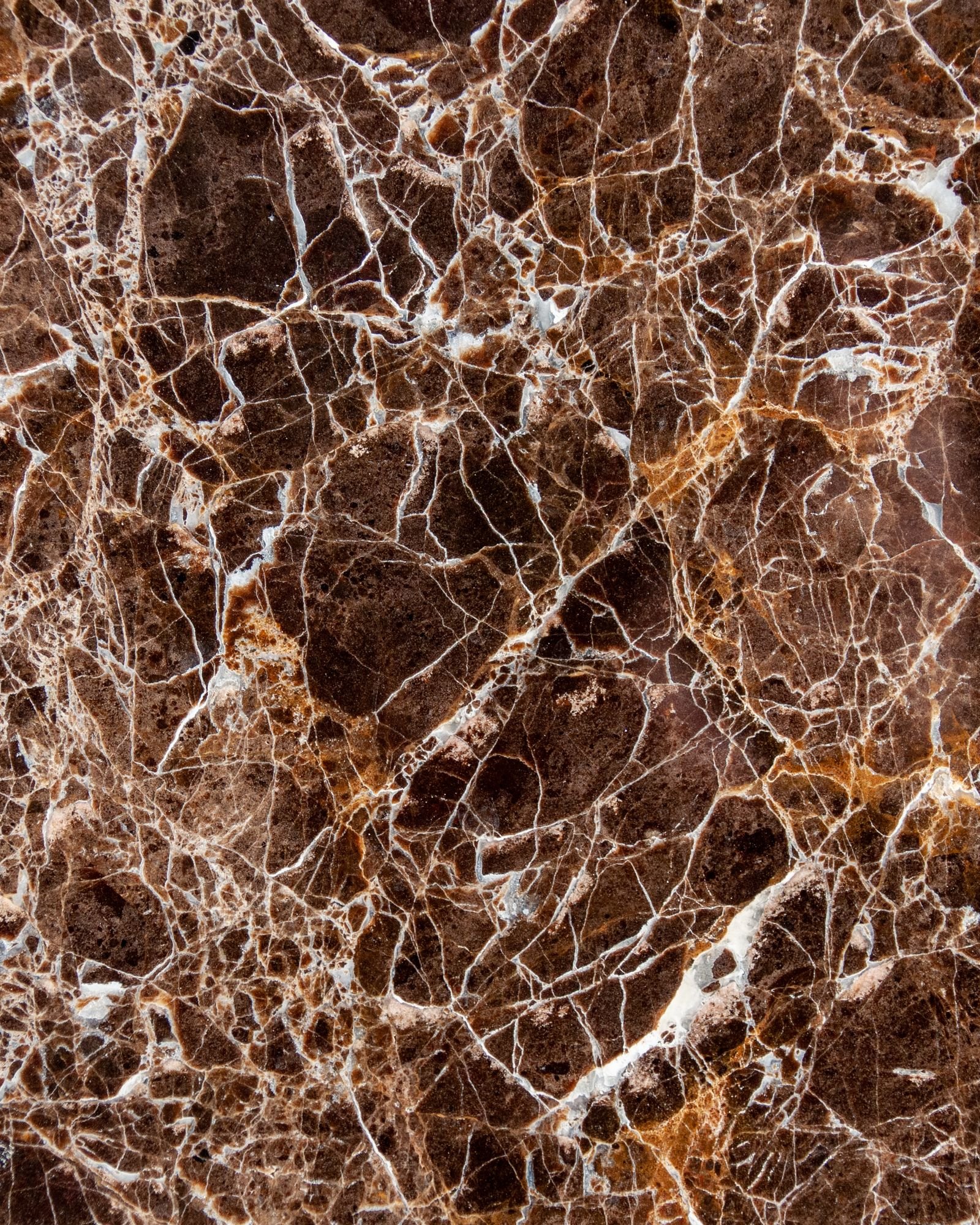 Rainforest Brown Marble
