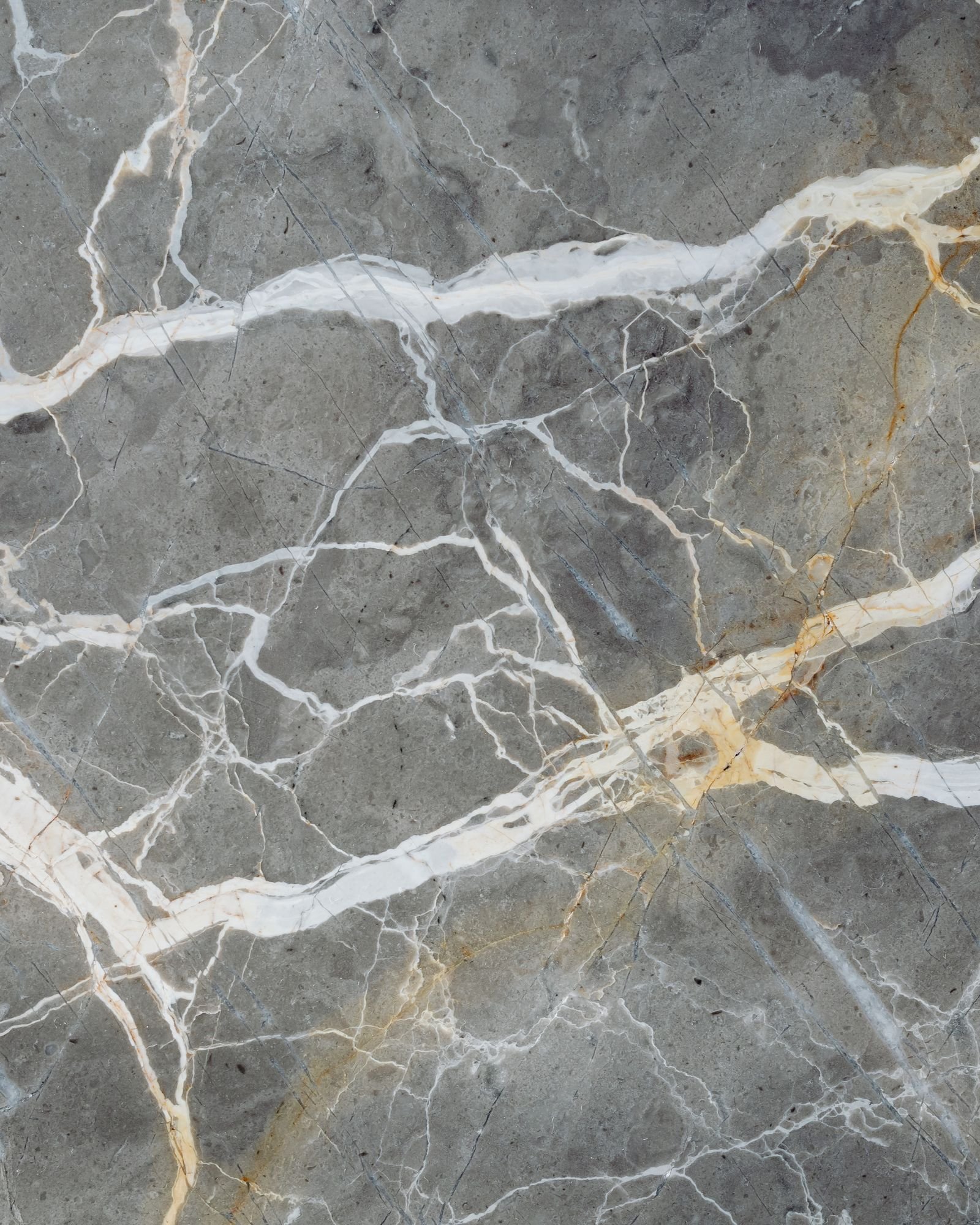 Silver Grey Quartzite